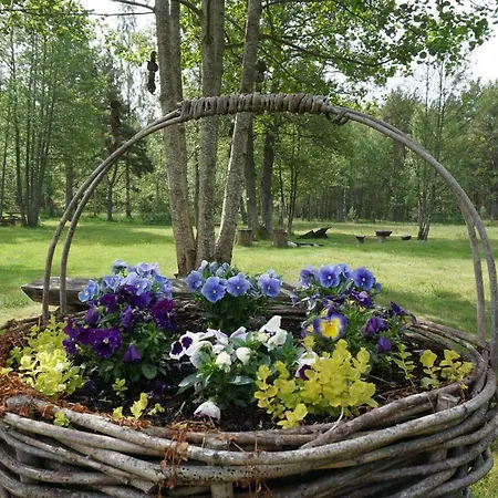 Camping Pie Andra Pitragā *