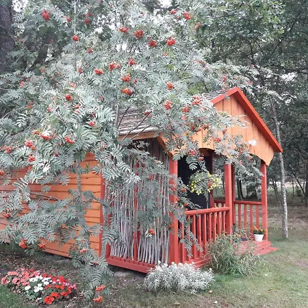 Pie Andra Pitragā Camping Pitrags