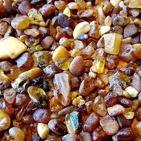 Pie Andra Pitragā